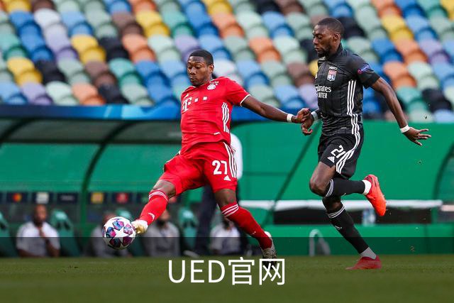 UED官网 公司简介